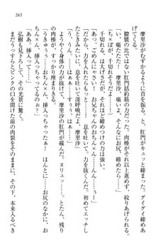 お姉ちゃんは3歳児!?, 日本語