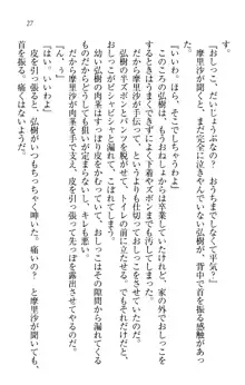 お姉ちゃんは3歳児!?, 日本語