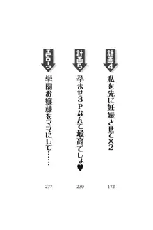 お嬢様☆お世継ぎ生産計画, 日本語