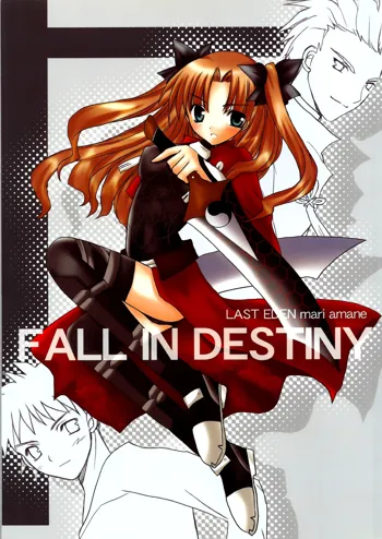 FALL IN DESTINY, 日本語