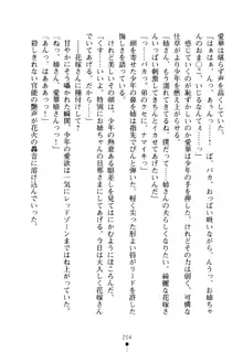 嫁姉ッ! お姉ちゃんの愛情は無限大! 弟とだったら子作りもOK!, 日本語