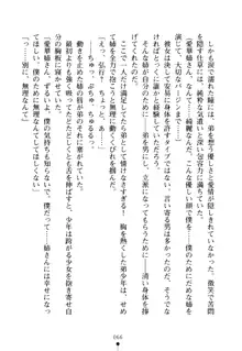 嫁姉ッ! お姉ちゃんの愛情は無限大! 弟とだったら子作りもOK!, 日本語