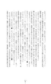 光魔少女メイ 拘束魔具の虜, 日本語