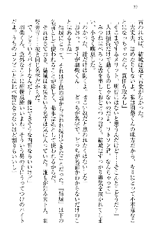 天下統一! メイド選手権, 日本語