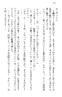 天下統一! メイド選手権, 日本語