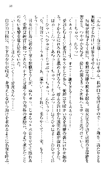 天下統一! メイド選手権, 日本語