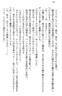 お嬢様は押しかけドレイ!? 暴走マゾ&ミニミニ先輩, 日本語