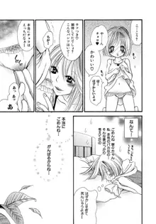 女の子どーしよ！？, 日本語