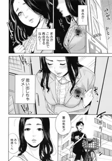 僕の専用女教師, 日本語