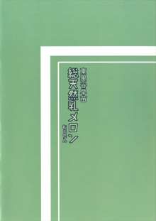 東風谷早苗 総天然乳メロン, 日本語