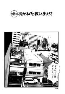 ごめん遊ばせ 激闘編, 日本語