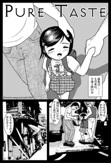 Fractal Studio Manga, 日本語