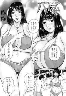 僕限定 爆乳ハーレム❤, 日本語