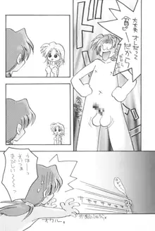 貧乳娘2, 日本語