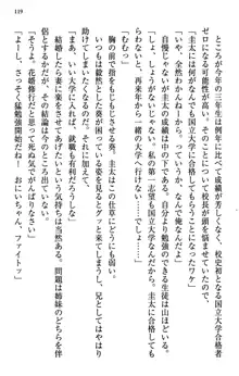 甘えんぼツンな生徒会長と巨乳小悪魔のW妹が俺を婿取りバトル中, 日本語