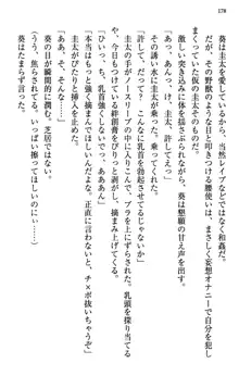 甘えんぼツンな生徒会長と巨乳小悪魔のW妹が俺を婿取りバトル中, 日本語