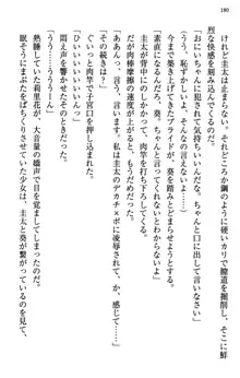 甘えんぼツンな生徒会長と巨乳小悪魔のW妹が俺を婿取りバトル中, 日本語