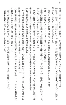 甘えんぼツンな生徒会長と巨乳小悪魔のW妹が俺を婿取りバトル中, 日本語