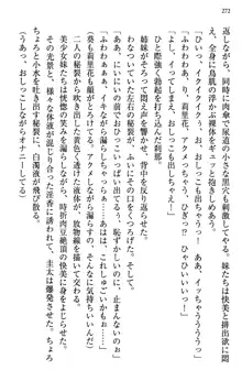 甘えんぼツンな生徒会長と巨乳小悪魔のW妹が俺を婿取りバトル中, 日本語