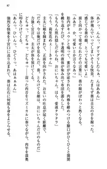 甘えんぼツンな生徒会長と巨乳小悪魔のW妹が俺を婿取りバトル中, 日本語