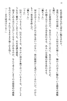 お嬢さま三姉妹にぺろぺろされ続けてると妹がしつけ直しにきました, 日本語