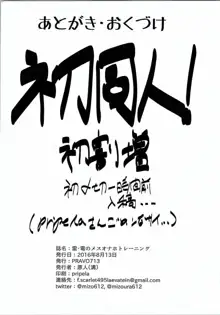 雷・電のメスオナホトレーニング, 日本語