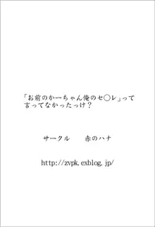 「お前のかーちゃん俺のセ○レ」って言ってなかったっけ？, 日本語