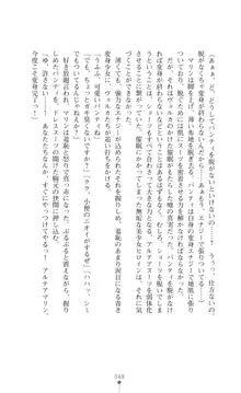 守護聖姫アルテアガーディアンズ 催眠恥辱に堕ちる姉妹, 日本語