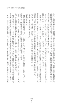 守護聖姫アルテアガーディアンズ 催眠恥辱に堕ちる姉妹, 日本語