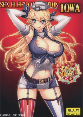 姦これ -SEX FLEET COLLECTION- IOWA, 日本語