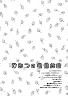 ひみつの警備任務, 日本語