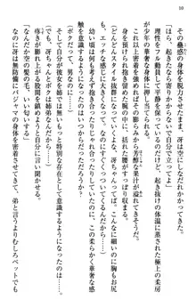 むちゃあね！ お姉ちゃんとボクのらぶらぶ女子校生活, 日本語