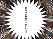 褐色少女レイプ～田舎の教え子を犯すHな夏休み～, 日本語