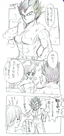 ベジブル落書き漫画もどき, 日本語