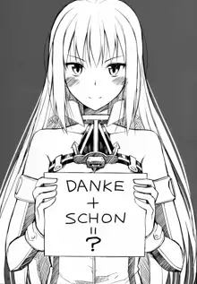 DANKE+SCHON, 日本語