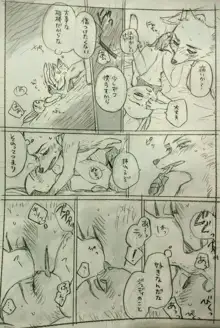 Nick x Judy, 日本語