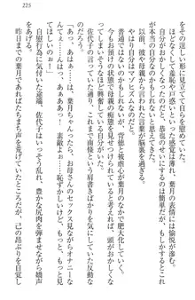 イジメっ子お嬢様に倍返し!? イジメの罰としてなんでもします, 日本語