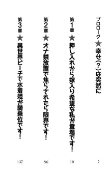 異世界からエッチなお姫様が嫁入りです！, 日本語