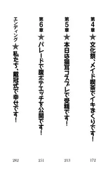 異世界からエッチなお姫様が嫁入りです！, 日本語