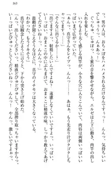 異世界からエッチなお姫様が嫁入りです！, 日本語