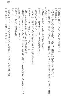 異世界からエッチなお姫様が嫁入りです！, 日本語