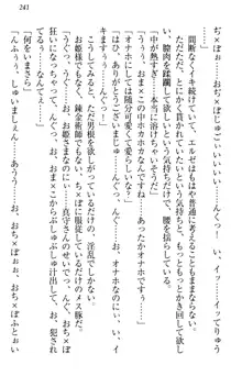 異世界からエッチなお姫様が嫁入りです！, 日本語