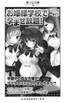 異世界からエッチなお姫様が嫁入りです！, 日本語