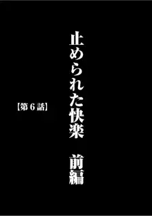 ヴァージントレイン 【完全版】, 日本語