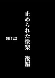 ヴァージントレイン 【完全版】, 日本語