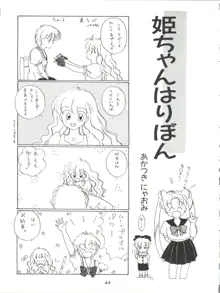 GELBE SóNNE 6 姫ちゃんのおませなひみつ, 日本語