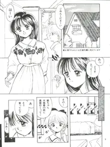 GELBE SóNNE 6 姫ちゃんのおませなひみつ, 日本語