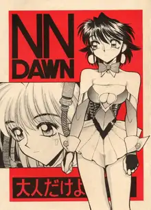 NN DAWN, 日本語