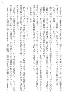 紅の破壊天使スカーレット外伝 肉悦の極秘治療, 日本語