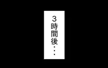 さいみん風見幽香, 日本語